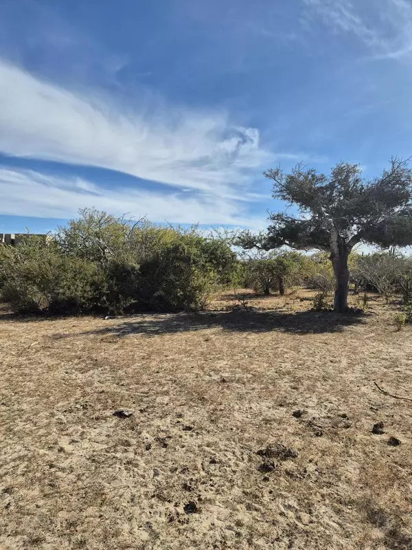 East Cape, BCS