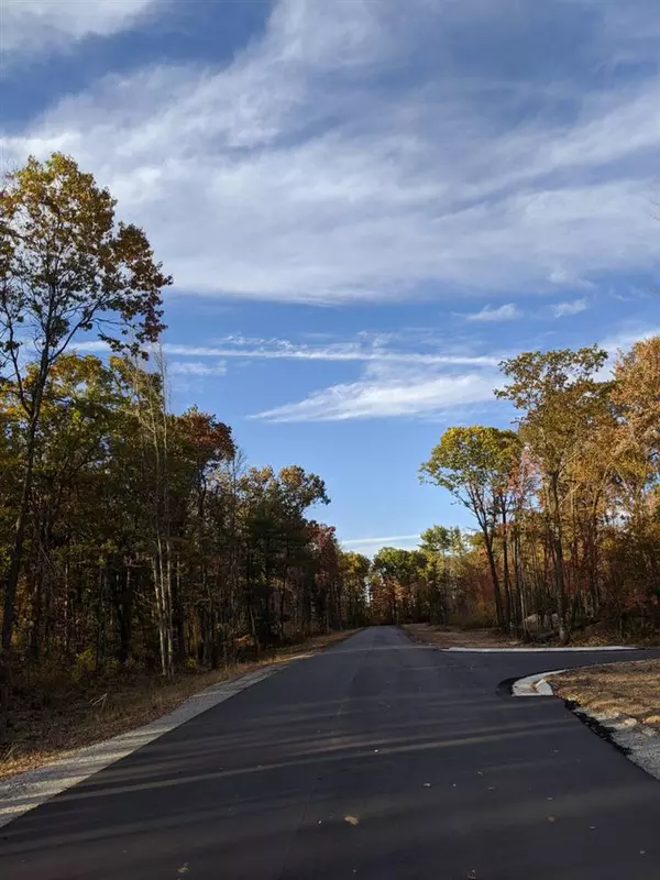 Biron, WI 54494,3193 WATERVIEW DRIVE #Lot #3