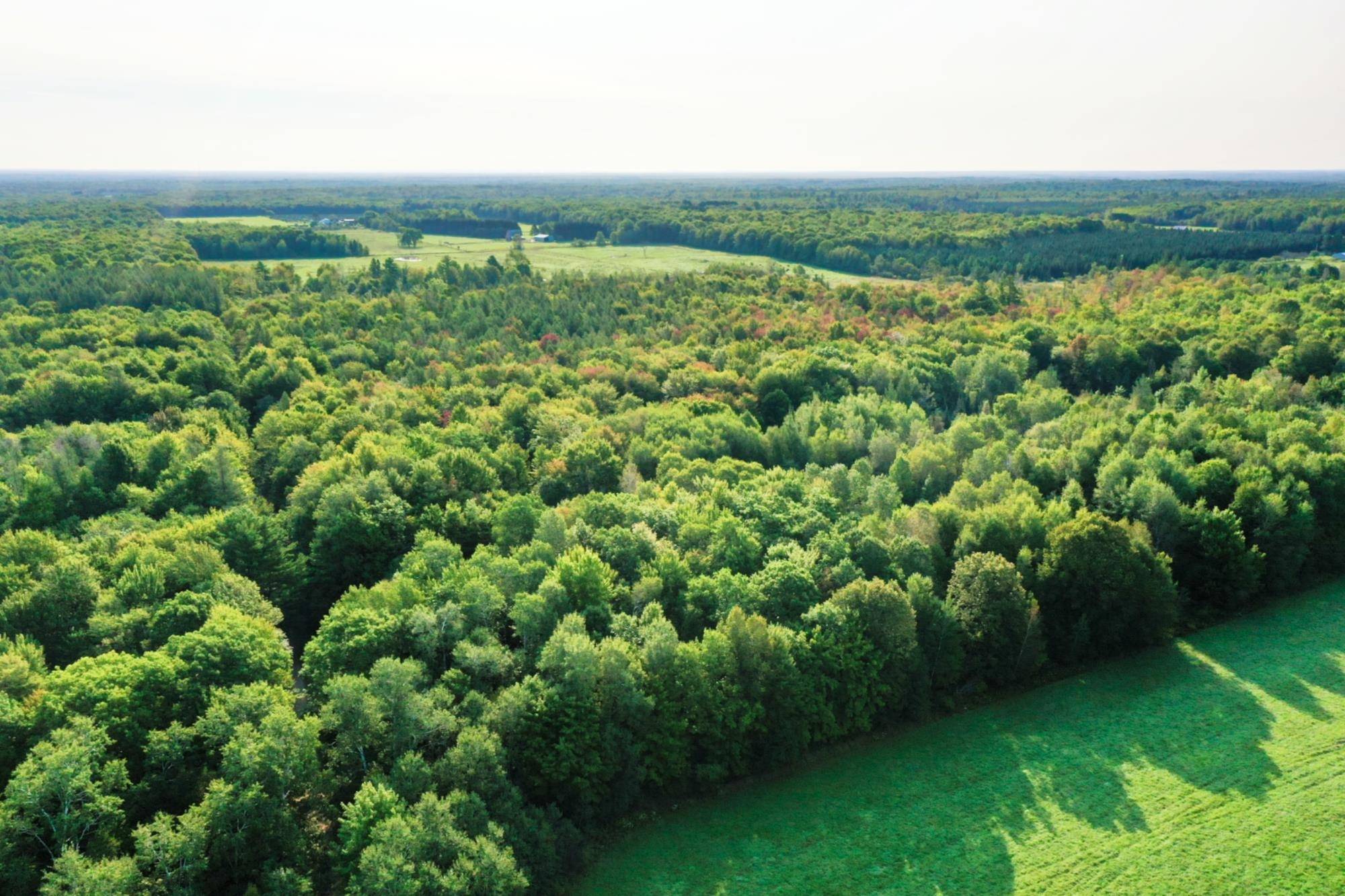 +/-20 Acres W KNOX ROAD, Brantwood, WI 54513