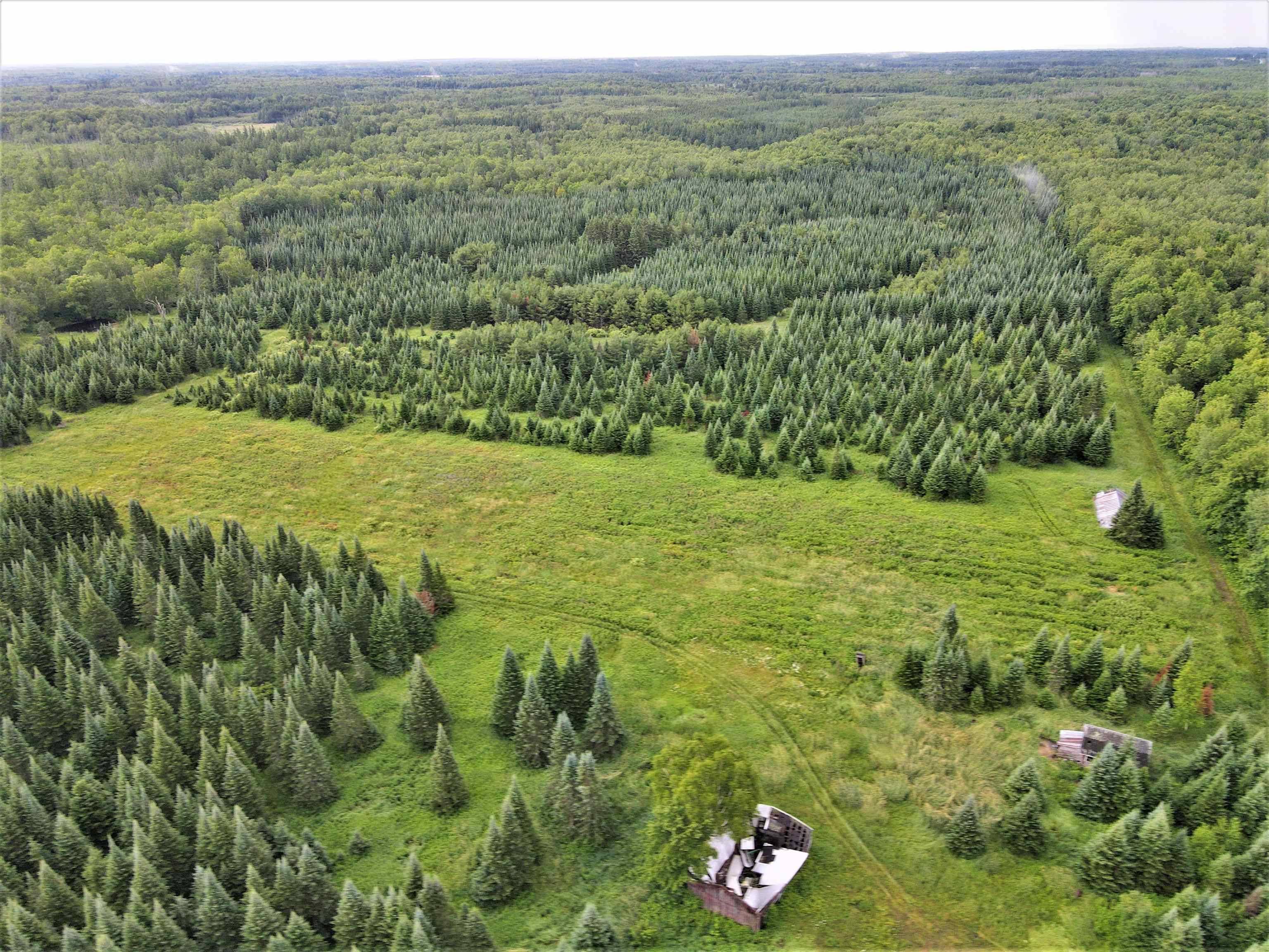 N5750 COUNTY ROAD D, Brantwood, WI 54513