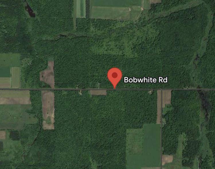 23.70 Acres BOBWHITE ROAD, Neillsville, WI 54456