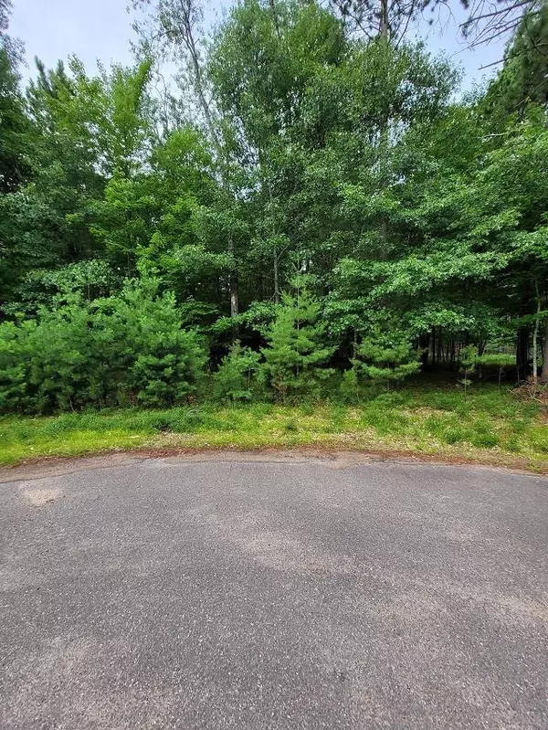 Lot 10 CARLEY COURT #Whistling Pines Estates, Arbor Vitae, WI 54568