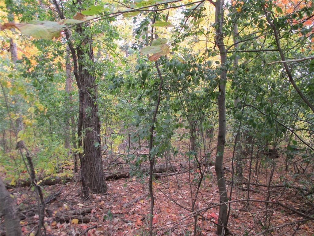 Stevens Point, WI 54481,0 HOOVER ROAD