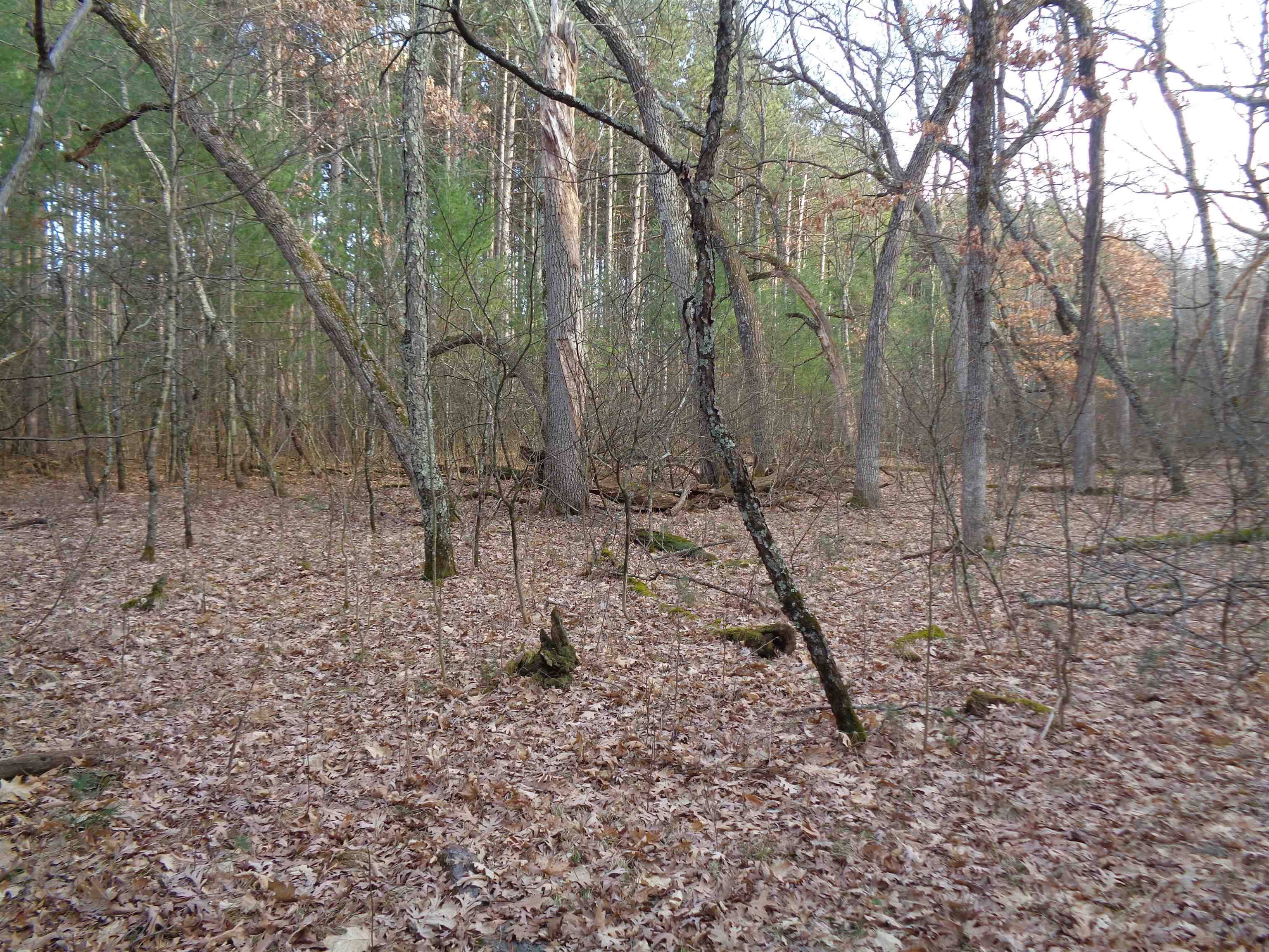 Hancock, WI 54943,W12289 DEER PATH