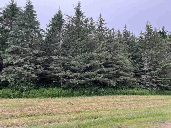 Lot 5 SUE ALAN DRIVE, Wittenberg, WI 54499