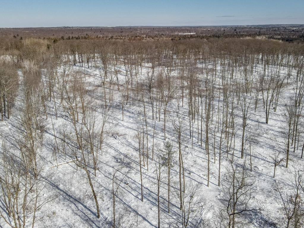 Hatley, WI 54440,8.39 Acres MASZK ROAD