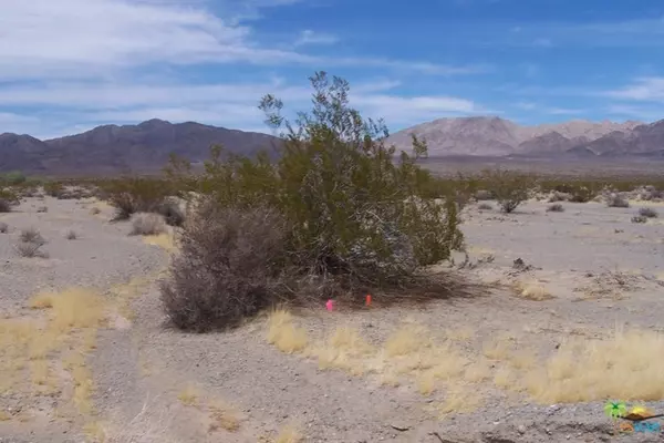 0 Eddie Albert Road, CA 92277