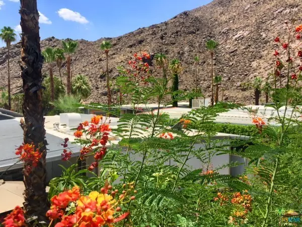 Palm Springs, CA 92264,223 Stone Terrace