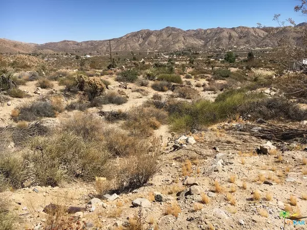 Morongo Valley, CA 92256,1 N Ridge