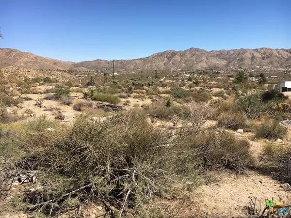 Morongo Valley, CA 92256,1 N Ridge