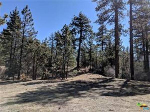 557 Division DR, Big Bear City, CA 92314