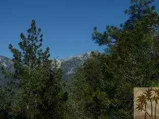 Idyllwild, CA 92549,0 Doubleview