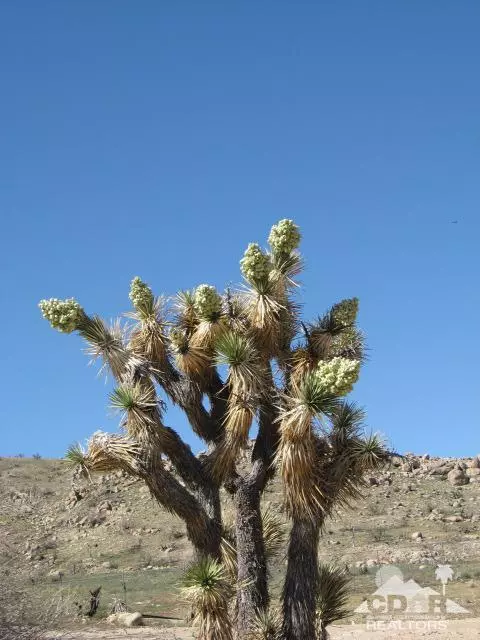 0 OLD DALE ROAD, Joshua Tree, CA 92252