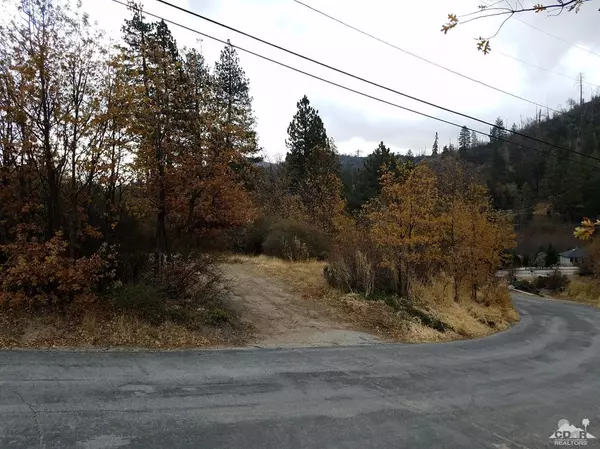 Lake Arrowhead, CA 92321,0 Pine Ridge DR