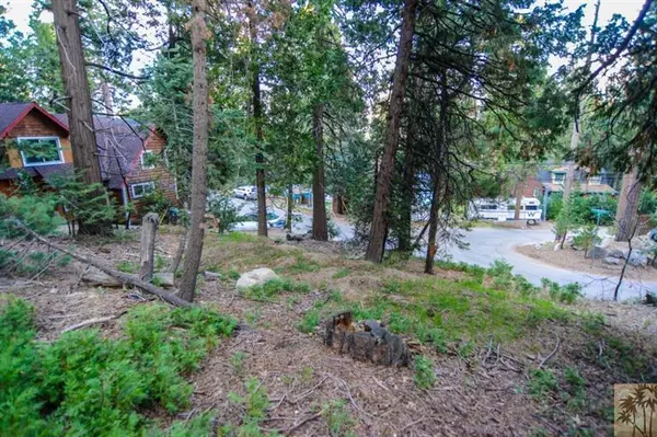 0 Cedar Brook, Twin Peaks, CA 92391