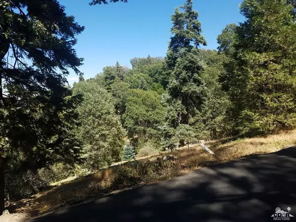 Lake Arrowhead, CA 92321,0 Lake View DR