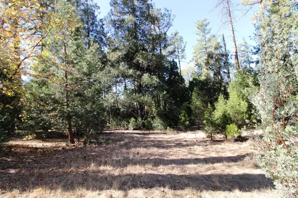 Idyllwild, CA 92549,0 Marian View