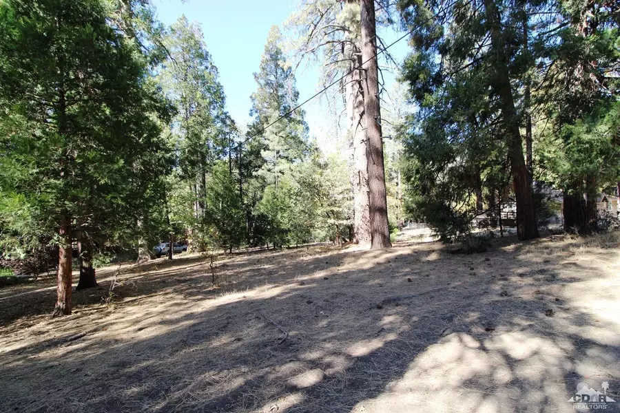 0 Marian View, Idyllwild, CA 92549