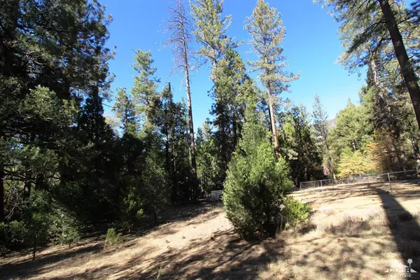 Idyllwild, CA 92549,0 Marian View