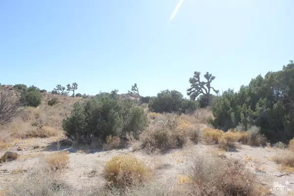 Yucca Valley, CA 92284,0 Sable Court