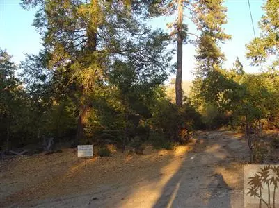 22900 Eagles Nest TRL, Idyllwild, CA 92549