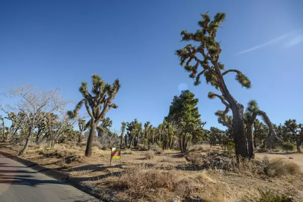 Yucca Valley, CA 92284,55561 Santa Fe TRL