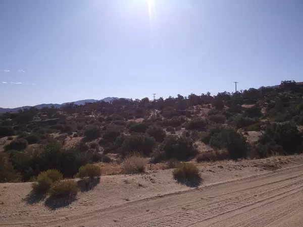Mountain Center, CA 92561,44 San Jacinto RD