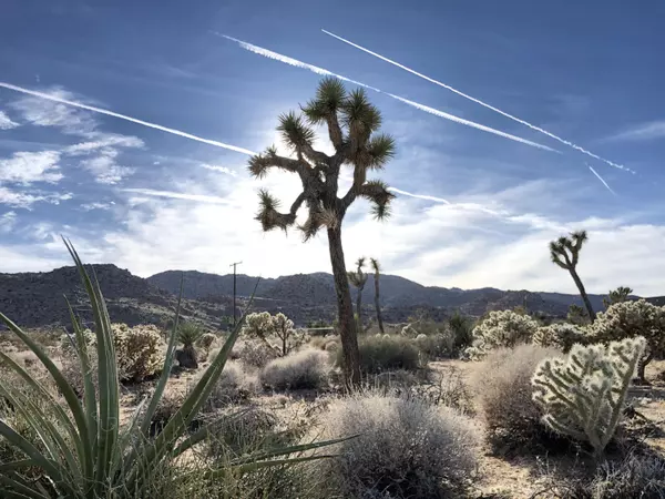 61638 Sandalwood TRL, Joshua Tree, CA 92252