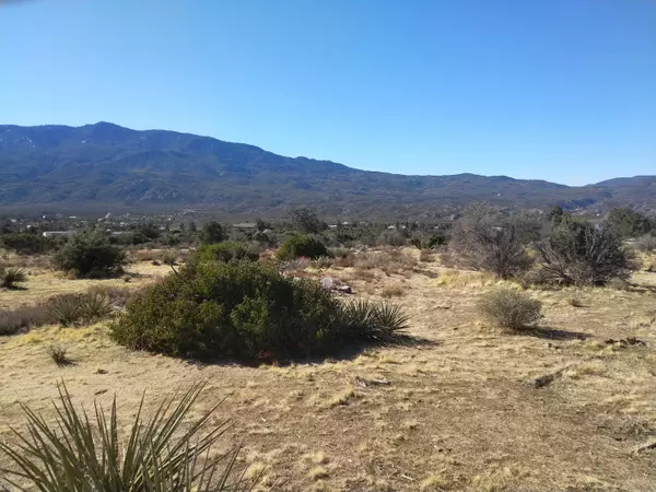 99 Alpine RD, Mountain Center, CA 92561