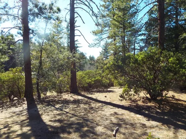 Pine Cove, CA 92549,0 Mcgovern