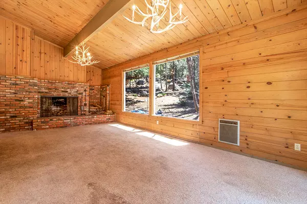 Idyllwild, CA 92549,24676 Forest DR