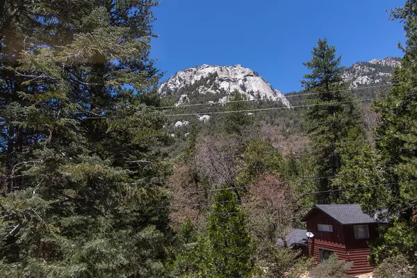 Idyllwild, CA 92549,24676 Forest DR