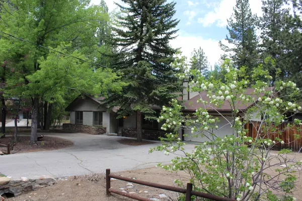 Big Bear Lake, CA 92315,393 Crane DR