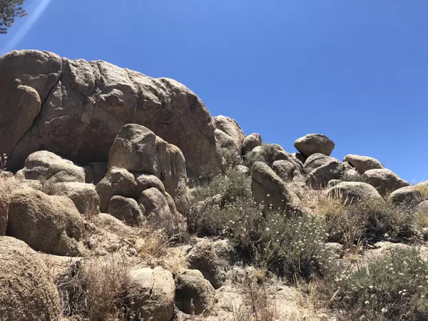 Yucca Valley, CA 92284,65 San Juan RD