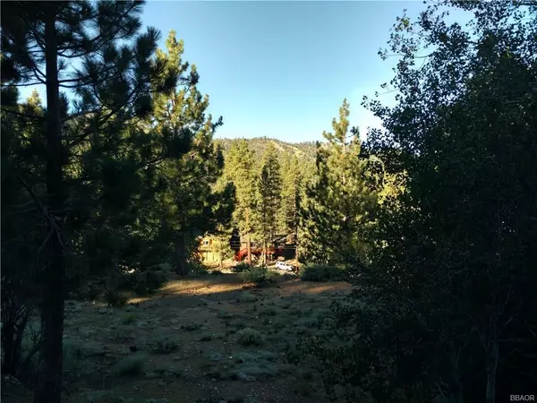 Big Bear Lake, CA 92315,0 Mendocino DR