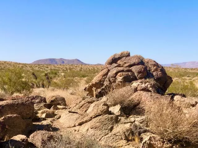 Joshua Tree, CA 92252,61 Sharp TER