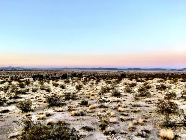 Joshua Tree, CA 92252,68 Sunkist