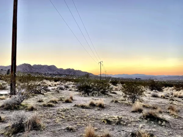 Joshua Tree, CA 92252,68 Sunkist