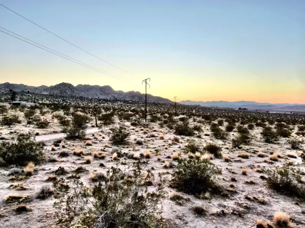 Joshua Tree, CA 92252,68 Sunkist