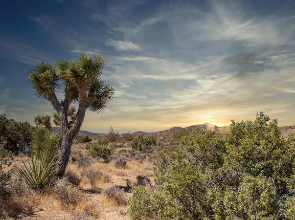 1 Kingston AVE, Yucca Valley, CA 92284