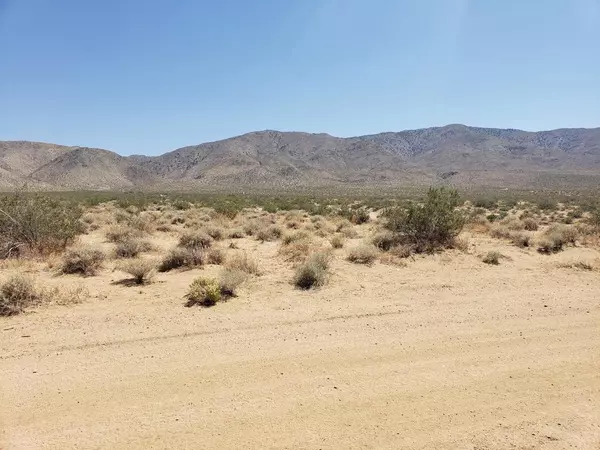 Johnson Valley, CA 92285,1 Cholla RD