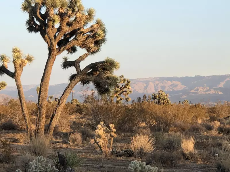 0 Julcrest RD, Yucca Valley, CA 92284
