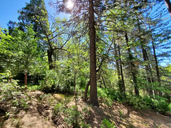 Lake Arrowhead, CA 92352,0 Birchwood DR