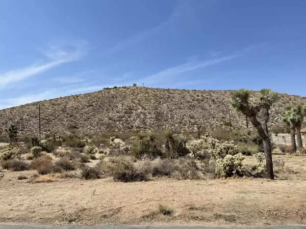 Yucca Valley, CA 92284,0 Carlyle DR