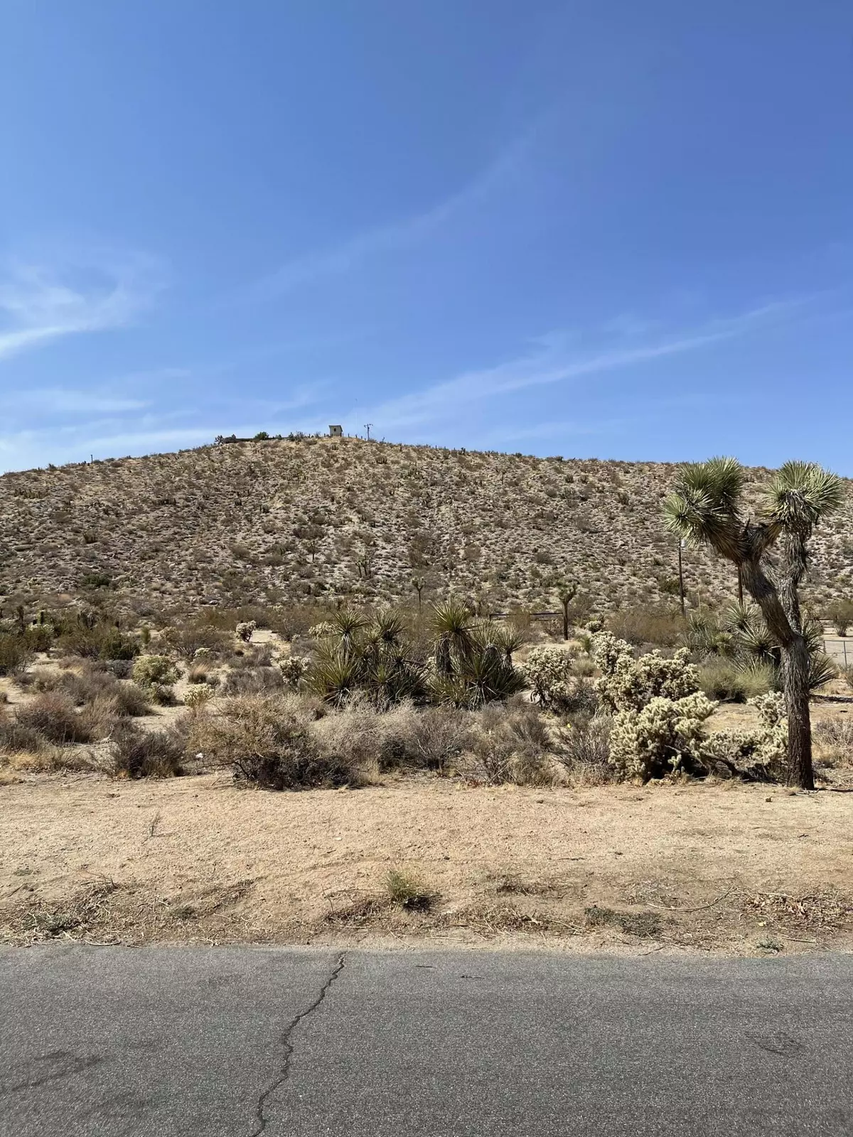 Yucca Valley, CA 92284,0 Carlyle DR