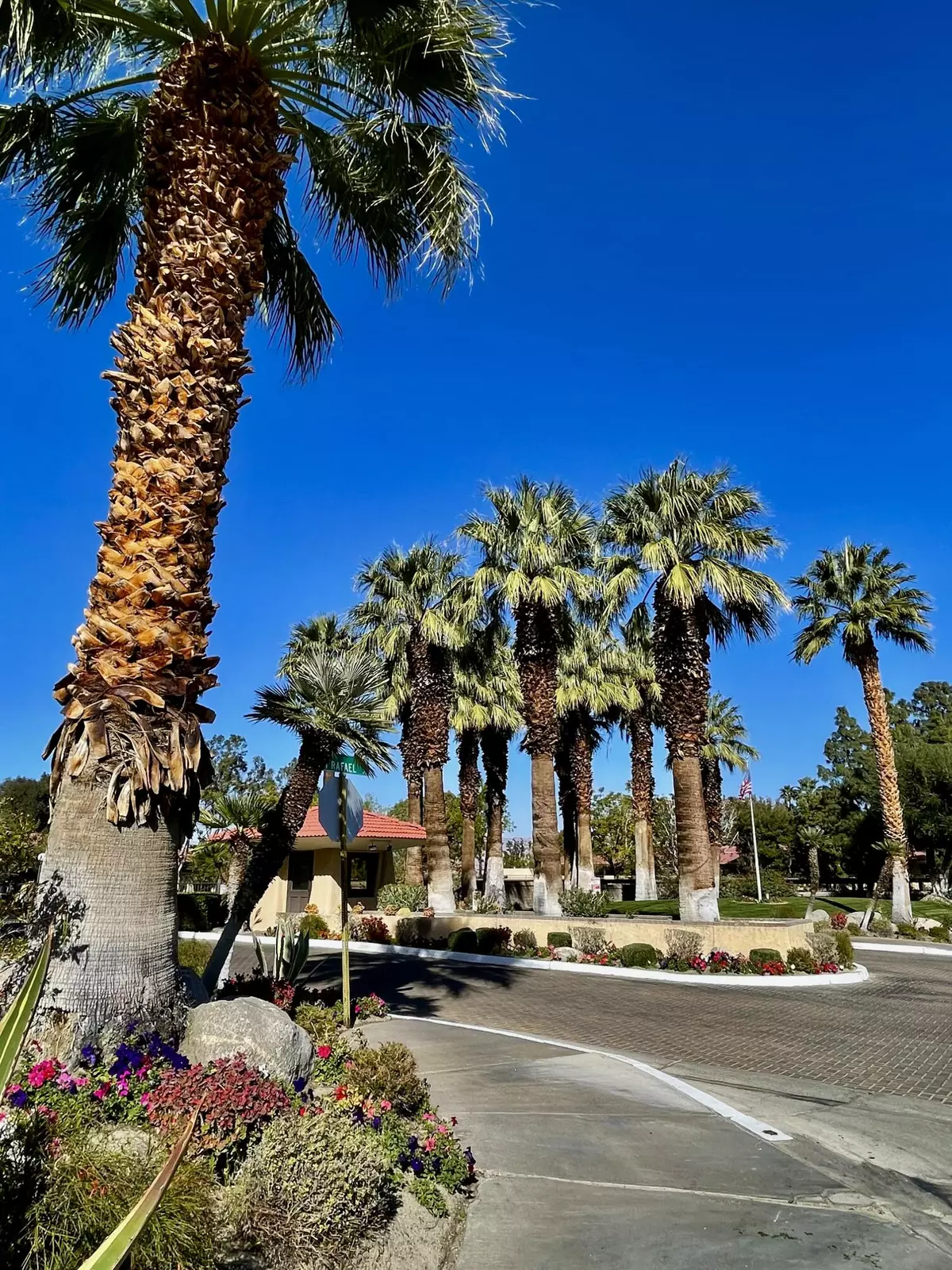 Palm Springs, CA 92262,2821 N Los Felices Circle W #212