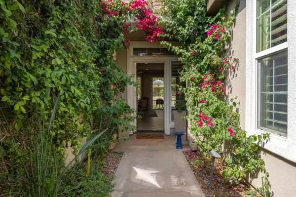 La Quinta, CA 92253,60305 Desert Rose DR