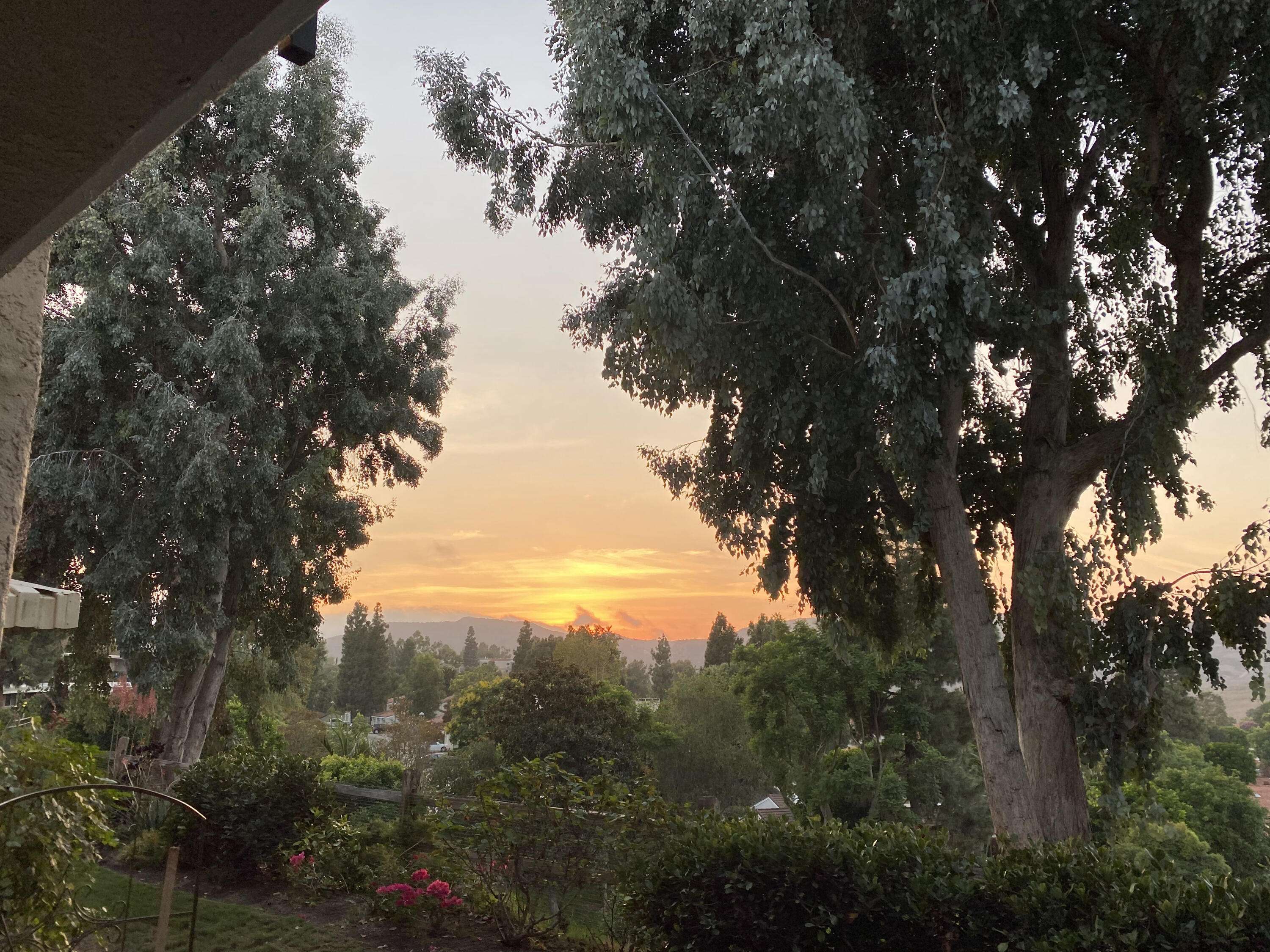 Laguna Woods, CA 92637,3371 Punta Alta #1f