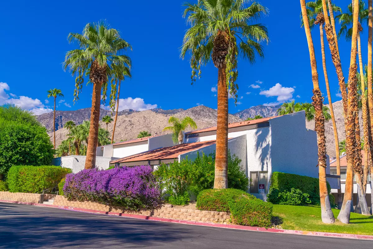 Palm Springs, CA 92264,1338 S Camino Real