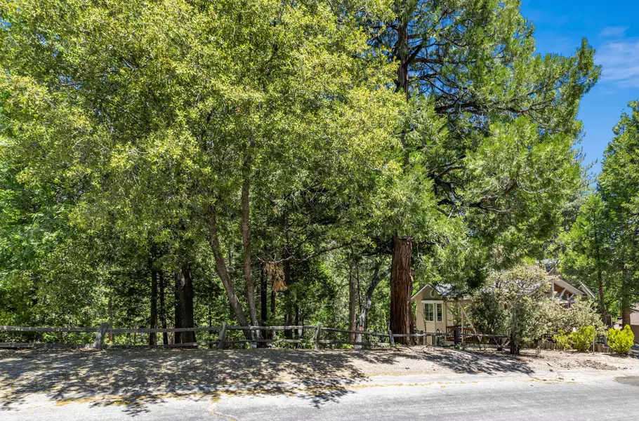 25216 Gail DR, Idyllwild, CA 92549